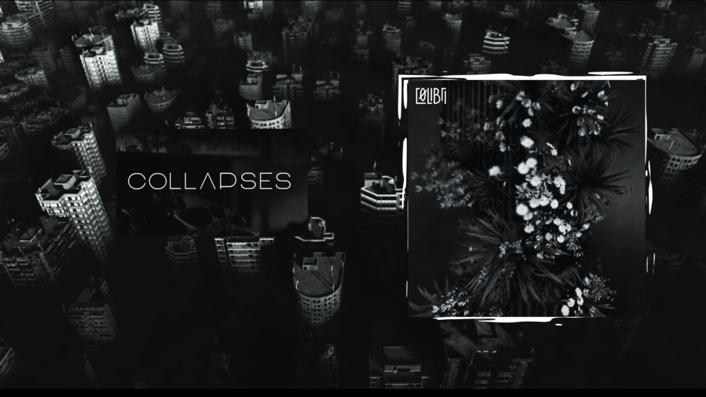 "Collapses", le nouveau titre de Cølibri artiste du label colligence records structure adhérente du réseau map
