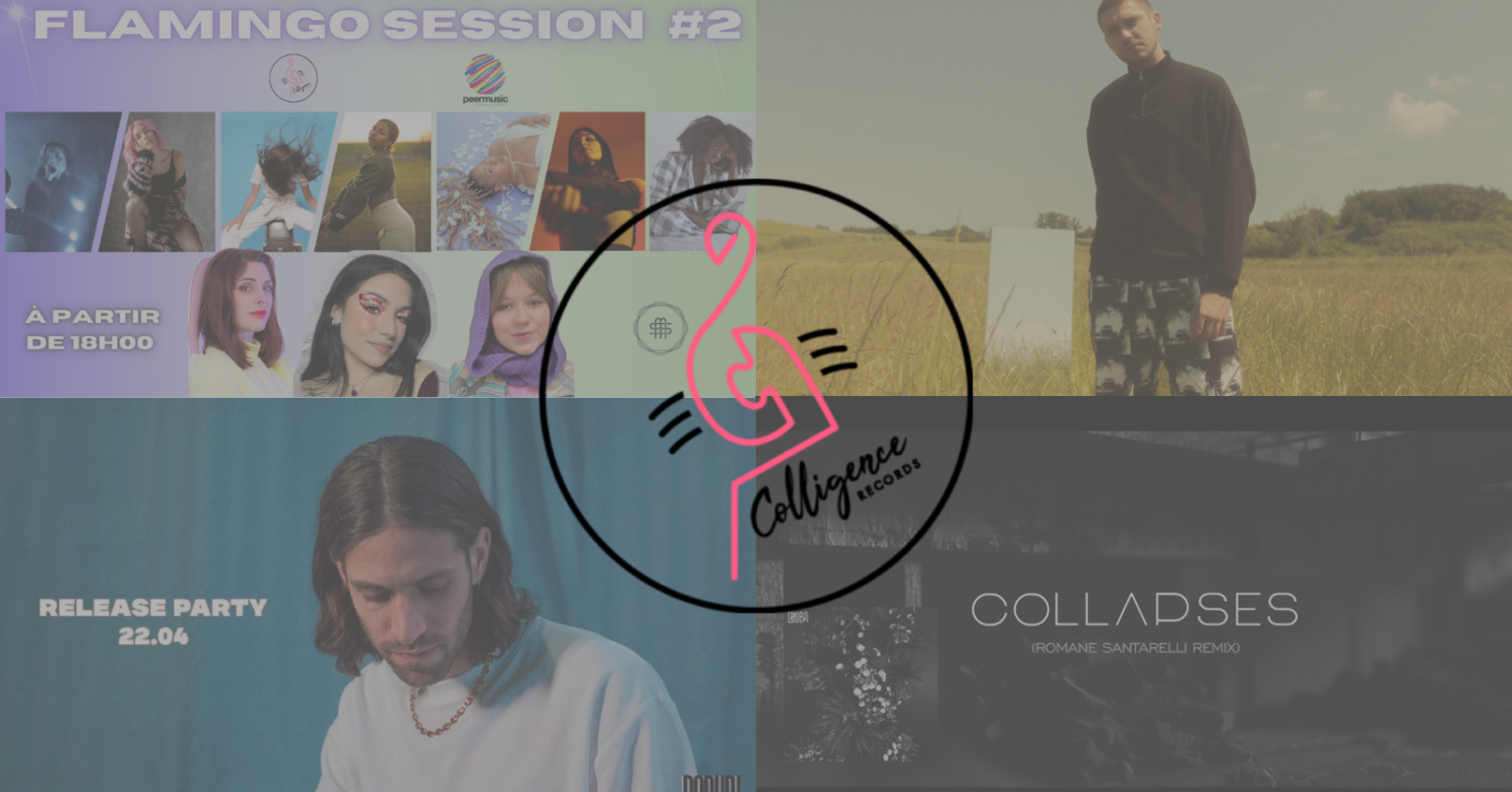 Actualité de Mars 2022 du Colligence Records - structure adhérente du Réseau MAP